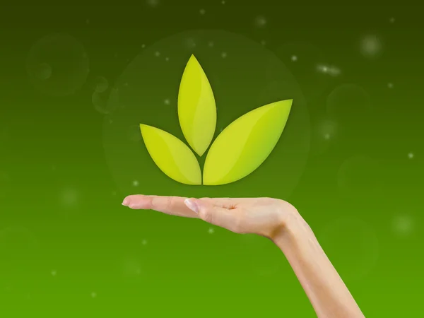 Leaf in the palm of hand,background — Stock Photo, Image