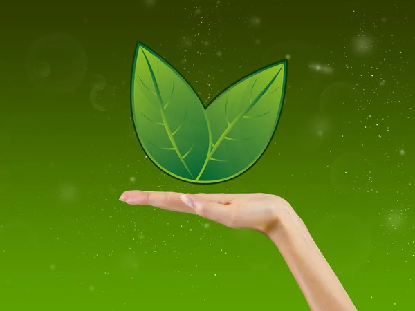 Leaf in the palm of hand,background — Stock Photo, Image