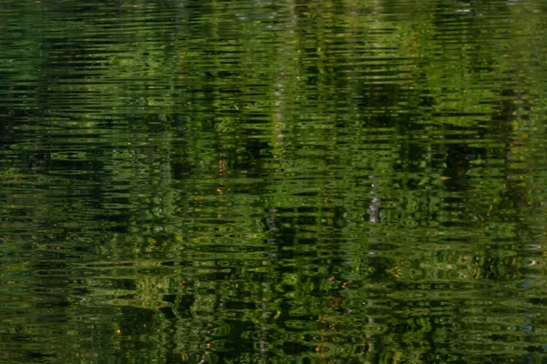 Fundal Abstract Pete Culoare Verde Negru Spațiu Copiere — Fotografie, imagine de stoc
