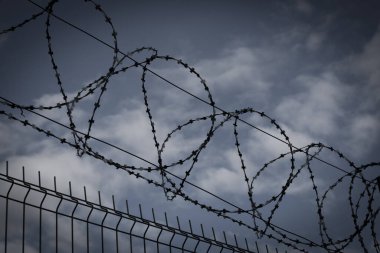 Arka planda koyu renkli dikenli tel örgü ve koyu gökyüzü. Metafor, hapishane, tutuklama. Yasak bölge ve alan
