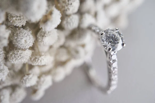 Zamknij Diamentowy Pierścień Białym Kwiatem Słońcem Tle Cienia Miłość Walentynki — Zdjęcie stockowe
