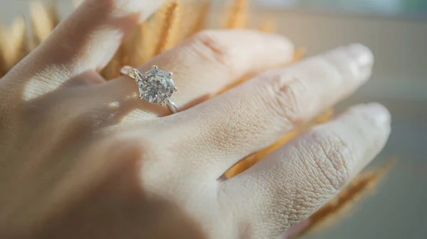 Close up of an elegant diamond ring on woman finger while touching the flower with sunlight and shadow background. love and wedding concept. Soft and selective focus.