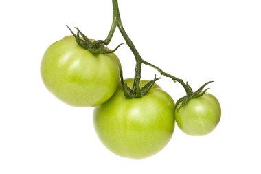 Yeşil domates