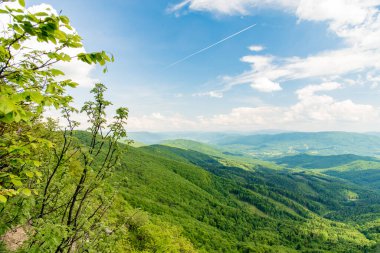 Slovakya Polonya sınırındaki Bukove azgın dağlarındaki Jaraba skala dağının güney manzarası. Bieszczady Dağları