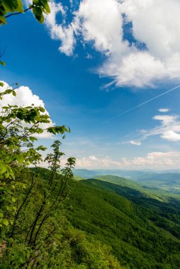 Slovakya Polonya sınırındaki Bukove azgın dağlarındaki Jaraba skala dağının güney manzarası. Bieszczady Dağları