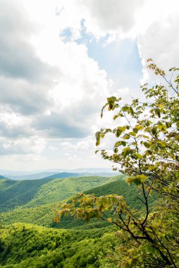 Slovakya Polonya sınırındaki Bukove azgın dağlarındaki Jaraba skala dağının güney manzarası. Bieszczady Dağları