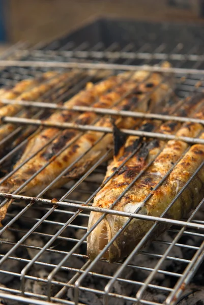 Barbekü üzerinde taze balıklar