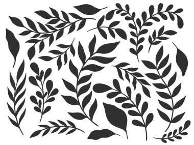 Bitki silueti elementini ayarla. Şube toplama işini bırak. Bitki rengi siyah..