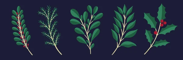 Set di piante floreali di Natale.Anno nuovo 2021 raccolta ramo foglia.Decorazione disegno botanico. — Vettoriale Stock