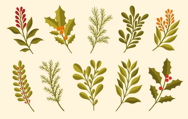 Natal floral planta set.New ano 2021 coleção ramo leaf.Decoration design botânico. — Vetor de Stock