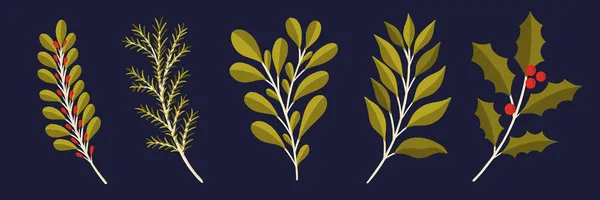 Set di piante floreali di Natale.Anno nuovo 2021 raccolta ramo foglia.Decorazione disegno botanico. — Vettoriale Stock