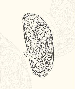 Resimli tost taslak yiyeceği. El yapımı element tasarım menüsü. Beyaz arkaplandaki izole nesne