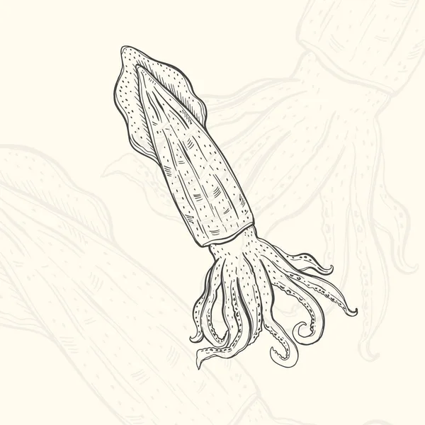 Ілюстрація кальмарів Ескіз їжі. Меню дизайну мальованих елементів. Ізольований об'єкт на білому тлі — стоковий вектор