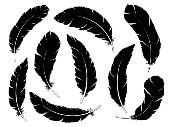 Silhouette tribale Plumes décor mis en couleur noire. Ethnique style boho dessin à la main. — Image vectorielle