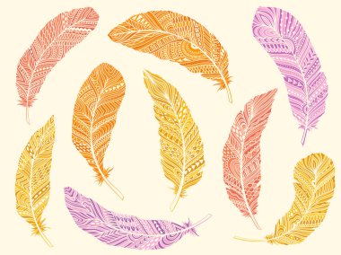 Kabile tüyleri dekorasyon seti. Etnik boho tarzı el çizimi.