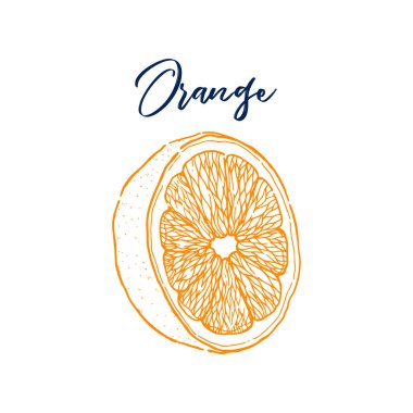 Portakal meyvesinden yapılmış mürekkep eli. Yiyecek koleksiyonu. Eskiz