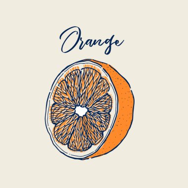 Portakal meyvesinden yapılmış mürekkep eli. Yiyecek koleksiyonu. Eskiz