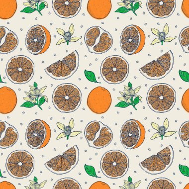 Mürekkeple çizilmiş portakal meyvesi deseni. Yiyecek koleksiyonu. Eskiz.