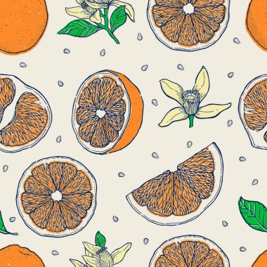 Mürekkeple çizilmiş portakal meyvesi deseni. Yiyecek koleksiyonu. Eskiz.
