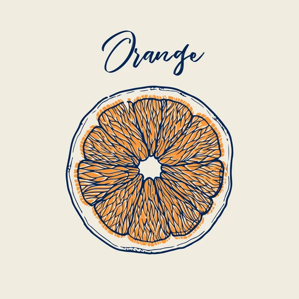 Tusche von Hand aus orangen Früchten gezeichnet. Sammlung von Nahrungsmitteln. Vintage-Sketch Stockvektor