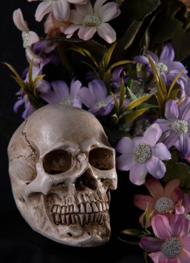 Çiçeklerin arka planında iskeleti olmayan insan kafatası