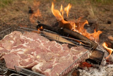 Ateşte kızarmak için metal bir ızgarada ayarlanmış et parçaları. Yüksek kalite fotoğraf