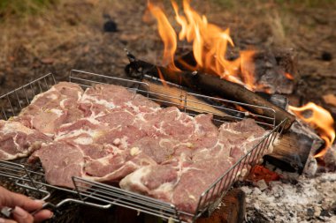 Ateşte kızarmak için metal bir ızgarada ayarlanmış et parçaları. Yüksek kalite fotoğraf