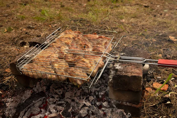 Carne Fresca Frita Brasas Uma Grelha Natureza Foto Alta Qualidade — Fotografia de Stock