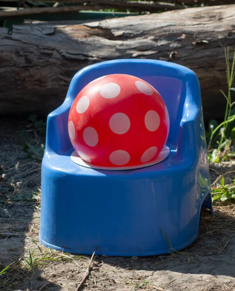 Childrens Rubber Ball Lies Childrens Potty High Quality Photo — Stock Photo, Image