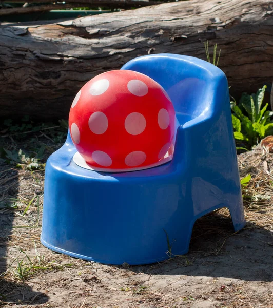 Childrens Rubber Ball Lies Childrens Potty High Quality Photo — Stock Photo, Image