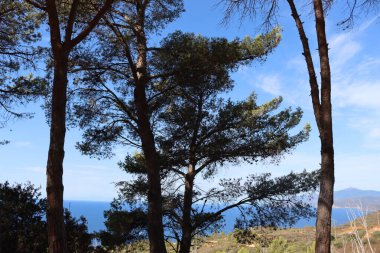 Massawa, Eritre-Eylül 02, 2021: Massawa 'dan Asmara' ya giden Eritre Kızıl Denizi 'nden inanılmaz manzara. Kötü hava ve bazı yeşil alanlar.