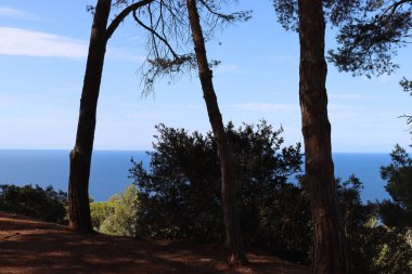 Massawa, Eritre-Eylül 02, 2021: Massawa 'dan Asmara' ya giden Eritre Kızıl Denizi 'nden inanılmaz manzara. Kötü hava ve bazı yeşil alanlar.