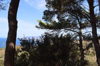 Massawa, Eritre-Eylül 02, 2021: Massawa 'dan Asmara' ya giden Eritre Kızıl Denizi 'nden inanılmaz manzara. Kötü hava ve bazı yeşil alanlar.