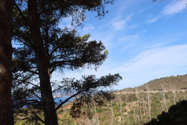 Massawa, Eritre-Eylül 02, 2021: Massawa 'dan Asmara' ya giden Eritre Kızıl Denizi 'nden inanılmaz manzara. Kötü hava ve bazı yeşil alanlar.