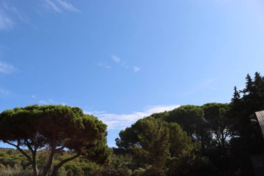 Massawa, Eritre-Eylül 02, 2021: Massawa 'dan Asmara' ya giden Eritre Kızıl Denizi 'nden inanılmaz manzara. Kötü hava ve bazı yeşil alanlar.