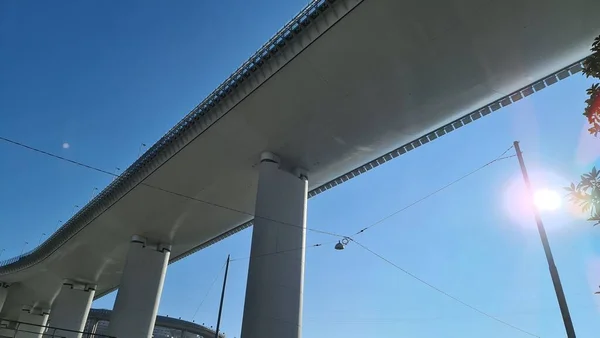 Janova Itálie Ledna 2022 Krásný Výhled Nový Most Janově Odspodu — Stock fotografie