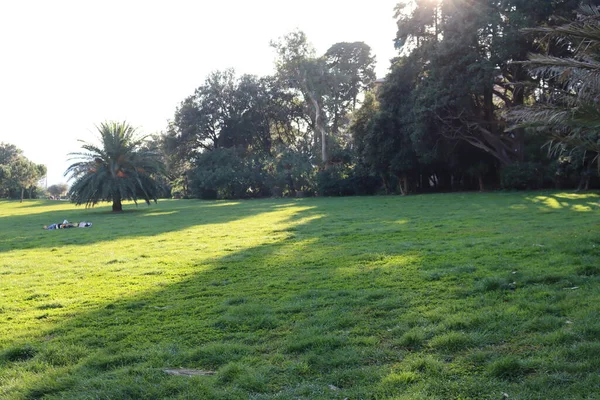 Gênova Itália Janeiro 2022 Parque Nervi Por Dias Inverno Parque — Fotografia de Stock