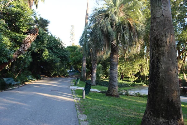 Genova Olaszország 2022 Január Nervi Parkja Téli Napokra Zöld Park — Stock Fotó