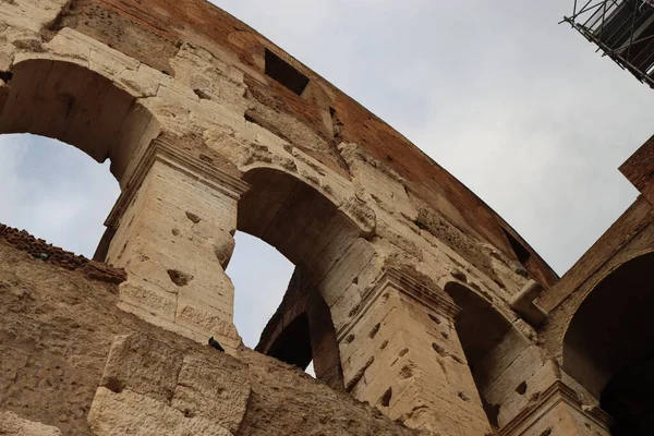 Italy 2022 이탈리아 로마에 콜로세움의 뒤에는 차가운 잿빛의 하늘이 펼쳐져 — 스톡 사진