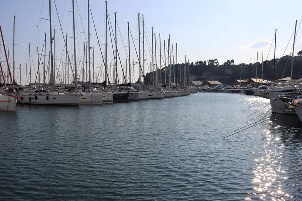 Σαβωνα Ιταλια Φεβρουαρίου 2022 Λιμάνι Της Σαβόνας Στην Καρδιά Της — Φωτογραφία Αρχείου