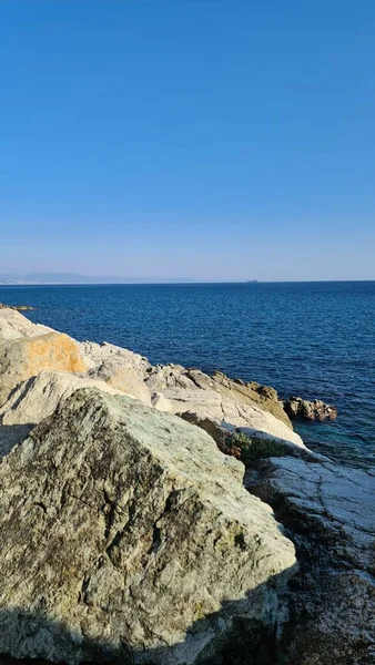 サヴォーナ イタリア 2022年2月12日 青い海のパノラマ 水の上の光 海の日の出 冬の日には少し波がある 海岸近くの長い木 — ストック写真