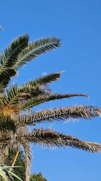 Savona Italien Februari 2022 Panorama Över Det Blå Havet Ljus — Stockfoto