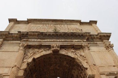 ROME, ITALY - 05 Şubat 2022: Roma, İtalya 'daki Colosseum çevresindeki panoramik manzara. Arka planda soğuk ve gri gökyüzü. Eski binalarla yeşil parkların makro fotoğrafları..