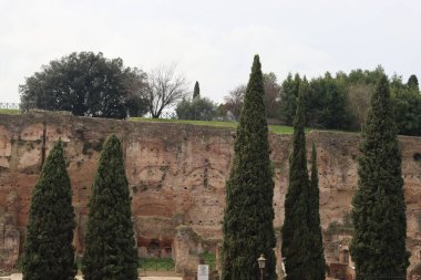 ROME, ITALY - 05 Şubat 2022: Roma, İtalya 'daki Colosseum çevresindeki panoramik manzara. Arka planda soğuk ve gri gökyüzü. Eski binalarla yeşil parkların makro fotoğrafları..