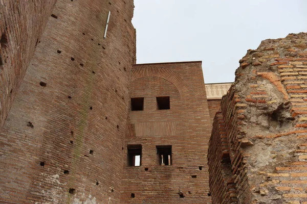 ROME, ITALY - 05 Şubat 2022: Roma, İtalya 'daki Colosseum çevresindeki panoramik manzara. Arka planda soğuk ve gri gökyüzü. Eski binalarla yeşil parkların makro fotoğrafları..