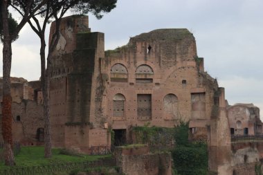 ROME, ITALY - 05 Şubat 2022: Roma, İtalya 'daki Colosseum çevresindeki panoramik manzara. Arka planda soğuk ve gri gökyüzü. Eski binalarla yeşil parkların makro fotoğrafları..