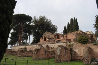 ROME, ITALY - 05 Şubat 2022: Roma, İtalya 'daki Colosseum çevresindeki panoramik manzara. Arka planda soğuk ve gri gökyüzü. Eski binalarla yeşil parkların makro fotoğrafları..