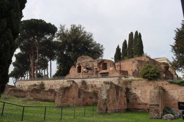 ROME, ITALY - 05 Şubat 2022: Roma, İtalya 'daki Colosseum çevresindeki panoramik manzara. Arka planda soğuk ve gri gökyüzü. Eski binalarla yeşil parkların makro fotoğrafları..