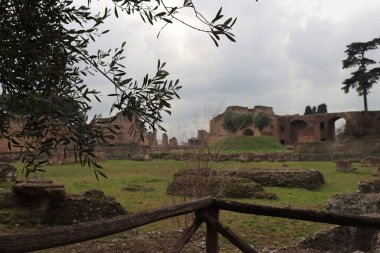 ROME, ITALY - 05 Şubat 2022: Roma, İtalya 'daki Colosseum çevresindeki panoramik manzara. Arka planda soğuk ve gri gökyüzü. Eski binalarla yeşil parkların makro fotoğrafları..