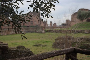 ROME, ITALY - 05 Şubat 2022: Roma, İtalya 'daki Colosseum çevresindeki panoramik manzara. Arka planda soğuk ve gri gökyüzü. Eski binalarla yeşil parkların makro fotoğrafları..